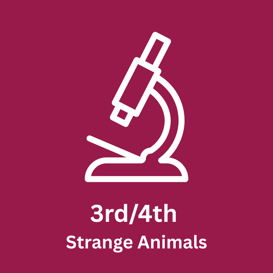 3rd/4th Grade Strange Animals (Science)